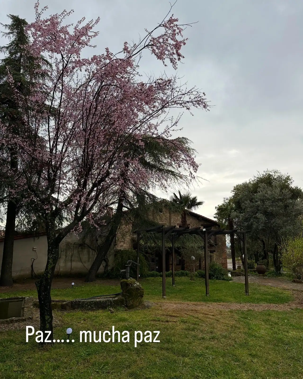 Jardín de la finca en primavera