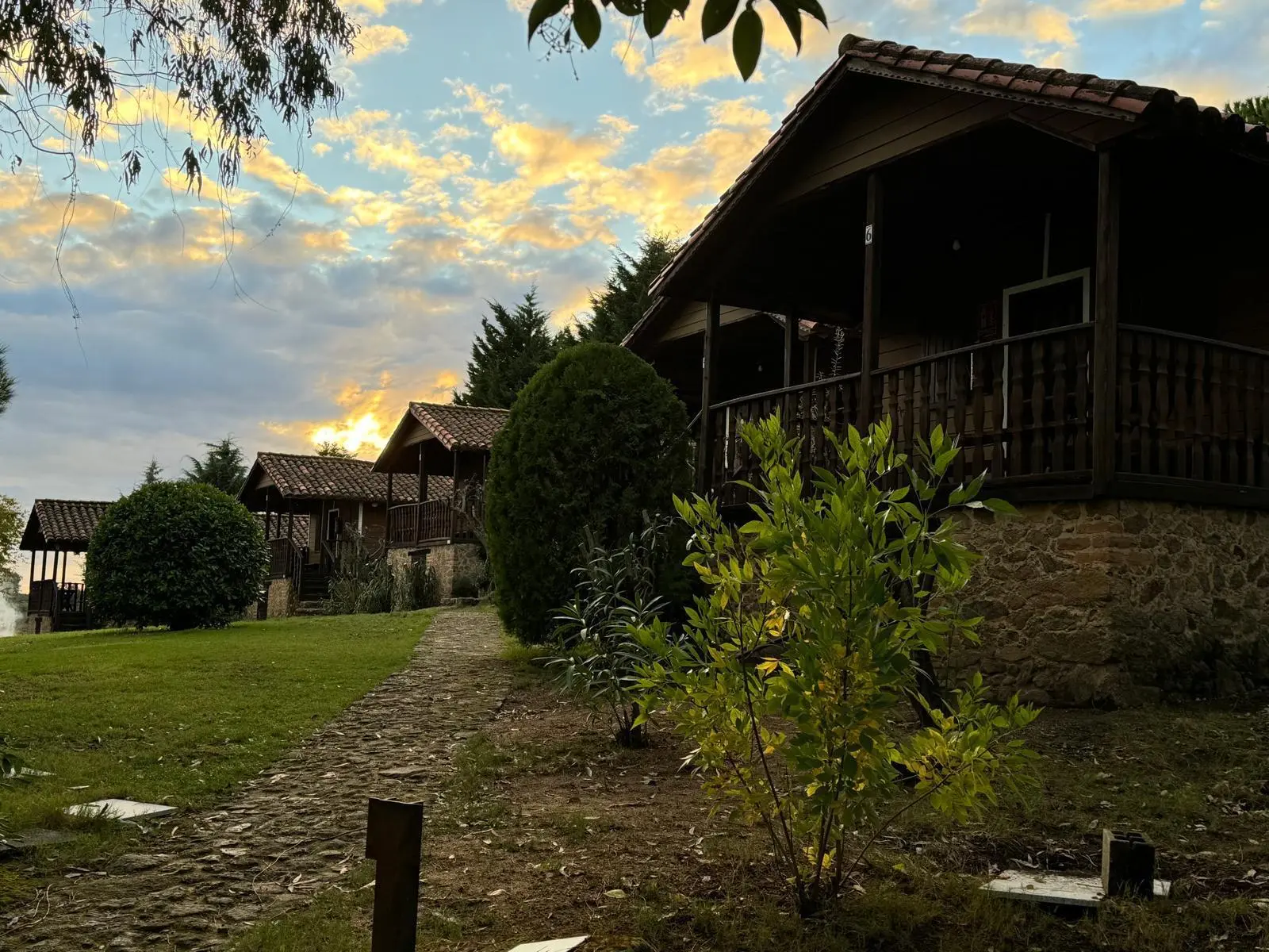 Exterior de los bungalows entre árboles