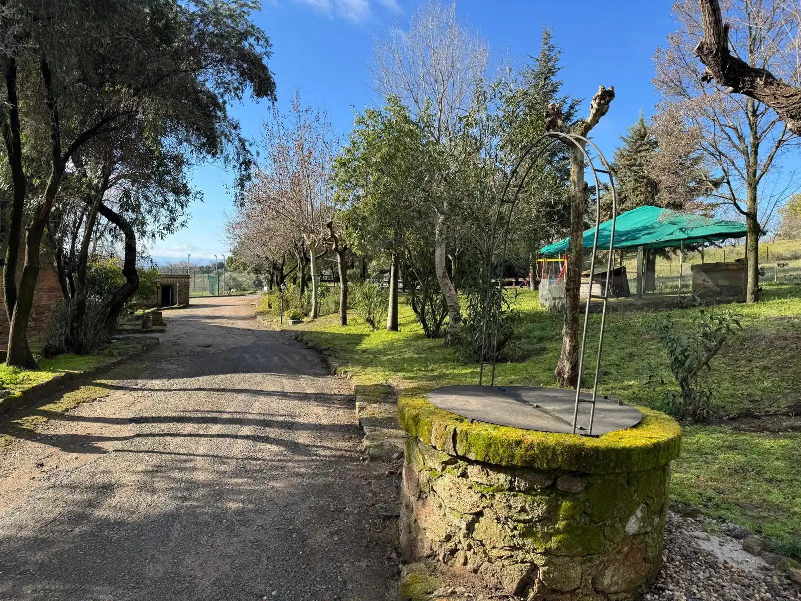 Camino interior entre árboles