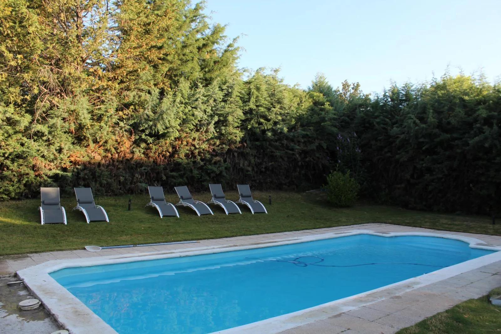 Piscina y tumbonas rodeadas de jardín