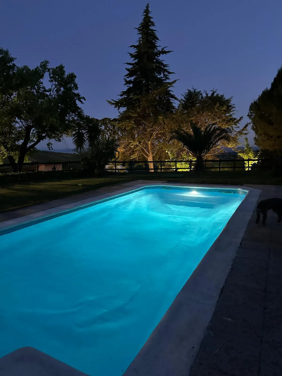 Piscina iluminada por la noche