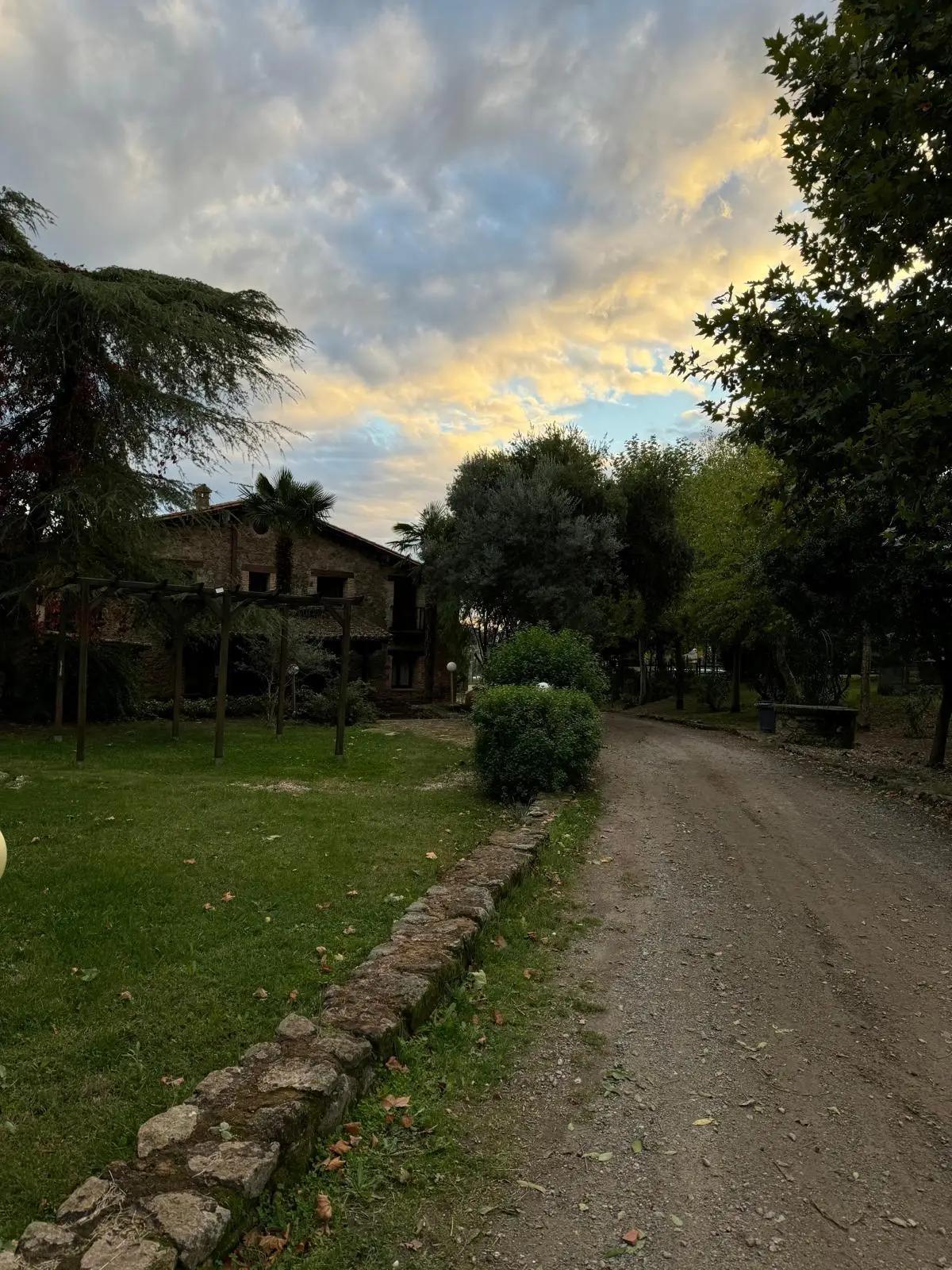 Sendero arbolado dentro de la finca